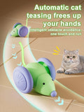 Electric Mascotas Smart Cat Toy kids