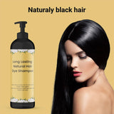 Long Lasting Natural Hair Dye Shampoo 100ML (Pack of 2) Beauty & Personal Care