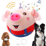 Kids Dancing Piggy Ball Toy
