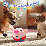 Kids Dancing Piggy Ball Toy
