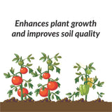 Organic Potash Fertilizer 350gm Quirky Home Essentials