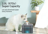 2L Small Pet Water Fountain for Kitten & Small Dogs Quirky Home Essentials